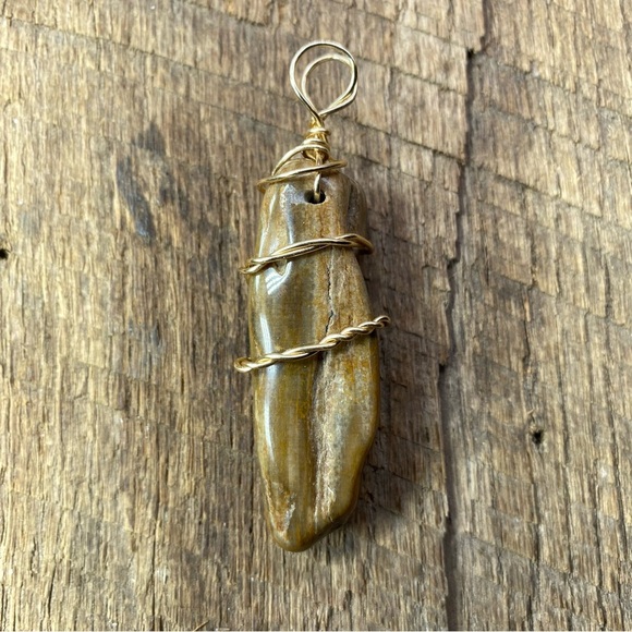 Polished Raw Natural Chunk Petrified Wood Necklace Pendant - Picture 3 of 4